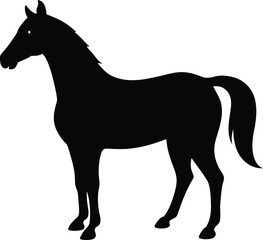 Black and white horse silhouette vector illustration design