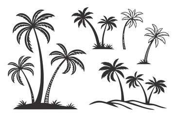 Fototapeta premium A set of tropical palm tree vector illustrations for beach and vacation themes, isolated on white background