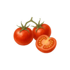 tomatoes on a white background