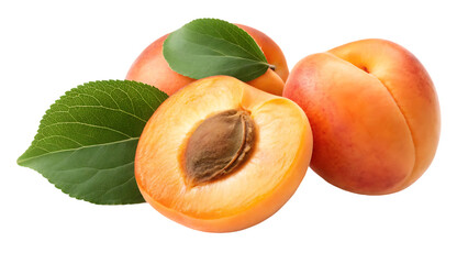 apricot png apricots with a half an leaves isolated on white or transparent background apricot with kernel no background full depth of field transparent png