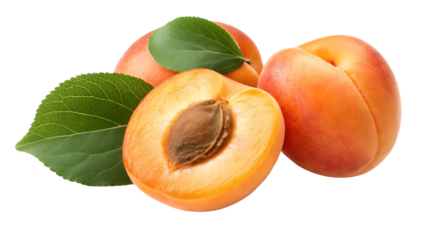 apricot png apricots with a half an leaves isolated on white or transparent background apricot with kernel no background full depth of field transparent png