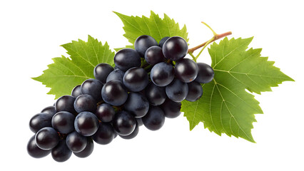 Fototapeta premium dark grape isolated black grape with leaves on white background grapes flying collection full depth of field