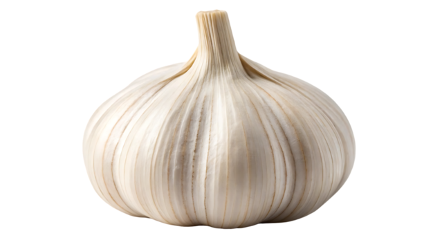 garlic cloves png peeled garlic clove on white or transparent background perfect retouched garlic no background transparent png full depth of field