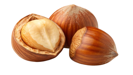 hazelnut isolated png peeled and unpeeled hazelnut with leaf on transparent background perfect retouched forest filbert nut no background transparent png full depth of field