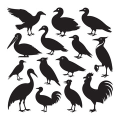 Obraz premium Minimalist Bird Silhouettes Collection – Clean Black Shapes of Diverse Bird Species, Art & Illustration