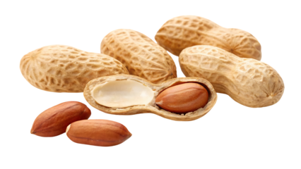 peanut isolated peanuts set on white background nut collection whole and cut half full depth of field
