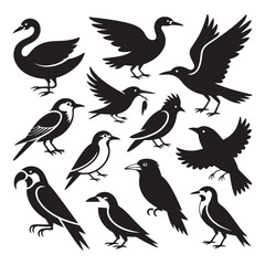 Minimalist Bird Silhouettes Collection – Clean Black Shapes of Diverse Bird Species, Art & Illustration