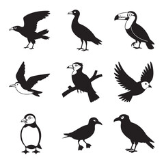 Fototapeta premium Minimalist Bird Silhouettes Collection – Clean Black Shapes of Diverse Bird Species, Art & Illustration