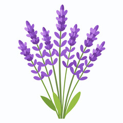 Fototapeta premium bouquet of blue flowers