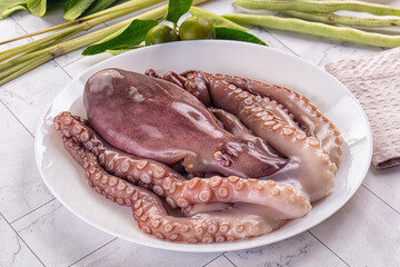 Gourmet luxury raw wild octopus © Andrei Starostin