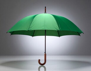Emerald canopy, a green umbrella with a wooden handle radiating sophistication, symbolizing