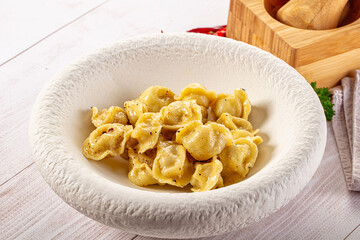 Tasty Russian dumplings with meat