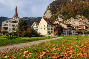 Meadow covered with fallen yellow maple leaves in Unterseen, Switzerland