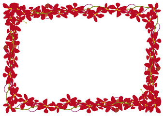 モカラ赤フレーム