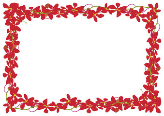 モカラ赤フレーム