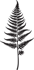 8 Fern Leaf Silhouette Bundle