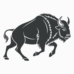 black horse vector illustration