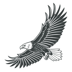 eagle vector illustration