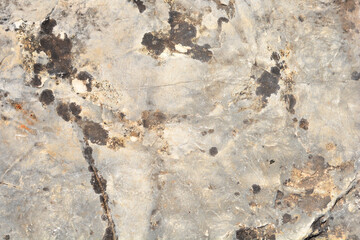 Detail of a stone surface on a sunny day