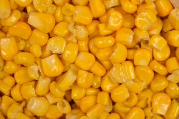 A vibrant, full-frame close-up captures a pile of glistening yellow corn kernels, highlighting their varied shapes and textures