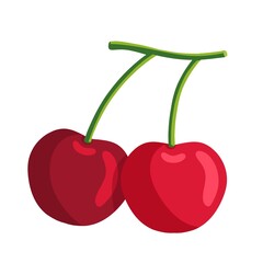 cherries vector illustration