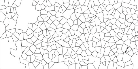 Obraz premium Abstract cellular pattern in black and white with complex geometric design resembling a fractured surface ideal for backgrounds and textures