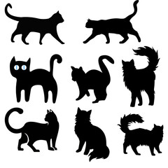 Cat,Shadow, Whiskers,Silhouette, Feline,Mystery, Midnight,Walker, Tail,Up, Quiet,Paws,...