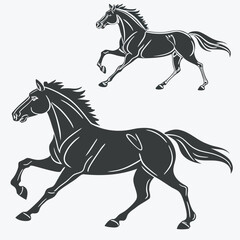 black and white horse