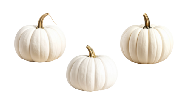 Beautifully arranged pumpkins on a white background.
