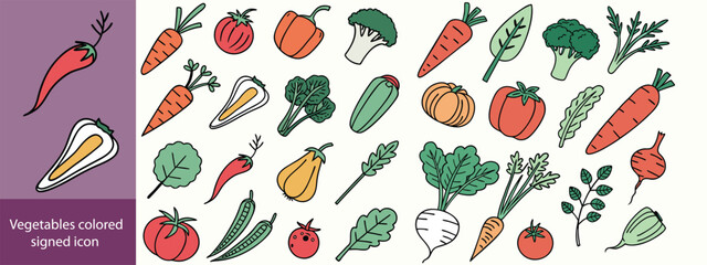 Vegetables colored signed icon collection. Tomato, potato, garlic, broccoli, pumpkin icons. UI icon set. Colored icons pack. Vector illustration