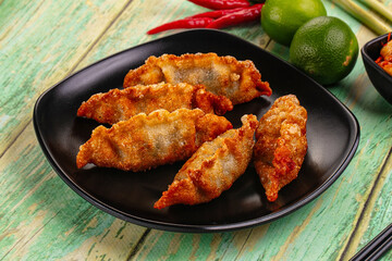 Asian fried stuffed dumplings gyoza