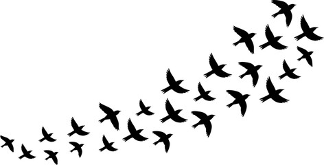 Flying Birds Silhouettes &ndash; Freedom and Nature Vector Set
