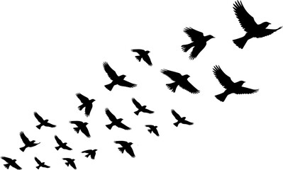 Flock of swallows in flight, bird silhouettes on white background. Minimalist, peaceful nature scene ideal for freedom, migration, and wildlife concepts.