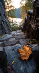 Obraz premium Autumn maple leaf on stone stairs in a scenic forest pathway