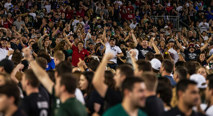 Fototapeta premium Enthusiastic crowd celebrates a victory.