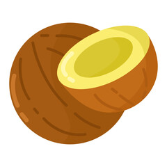 Cute Doodle Coconut for Summer Holiday