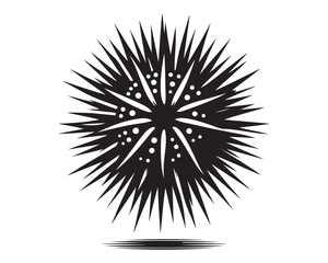 Fototapeta premium Sea Urchin 18.eps