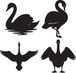 Elegant Swan Silhouettes  Black & White Bird Art on White Background