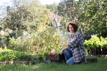 Happy  middle aged woman wearing a straw hat holds a box of vegetables picked in her garden.. 