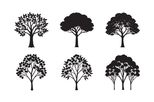 silhouette eucalyptus tree with koala set bundle on white backgound