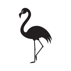 Flamingo Standing Gracefully On One Leg