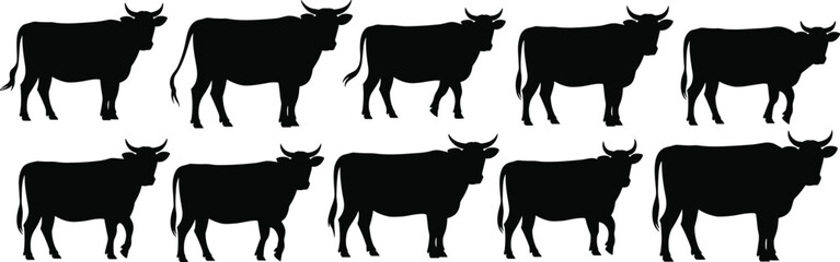Cow silhouette vector set, standing farm animal icons, side view bull shapes, livestock cattle illustrations, black agriculture animal graphics

 flat vector illustration