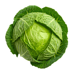 Obraz premium Cabbage: A fresh, vibrant, leafy head of cabbage, capturing the essence of freshness, organic, and culinary delight.