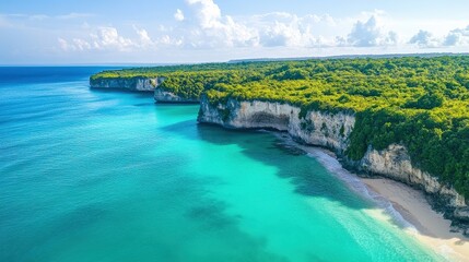 stunning aerial view of tropical coastline with lush green cliff