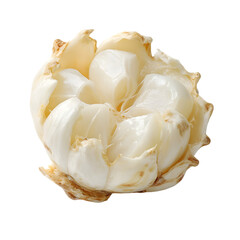 A single whole garlic bulb with peeled outer layers and visible cloves isolated on a transparent background for culinary use isolated on transparent background
