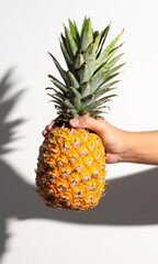 Fototapeta premium A hand holding a ripe pineapple against a white background, casting a sharp shadow in bright lighting.