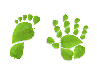 green leaf growing footprints and Green leaf growing handprint, co2 symbol isolated on White Background. Reduce CO2 emission concept.Clean and friendly environment without carbon dioxide emissions.