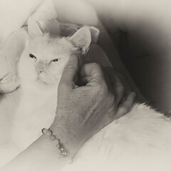 moment de tendresse,