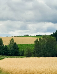Dark clouds over field in Kashubia.