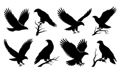 Eagle Silhouette Set Flying & Perched Bird of Prey Vector Graphics
